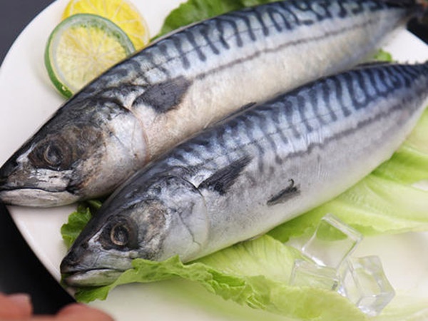 青花魚(yú)